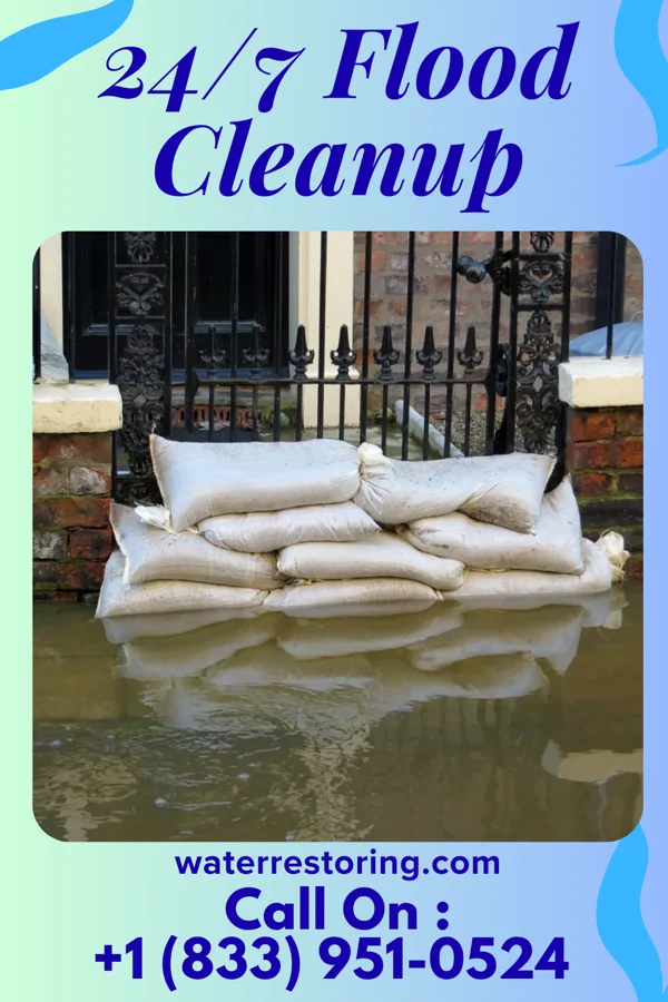 24/7 Flood Cleanup in Walnut Ridge, AR